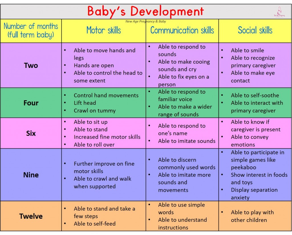 Babys first year development chart  1024x827